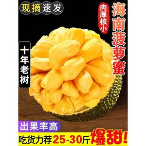 黄肉菠萝蜜一整个海南10斤新鲜现摘干苞精品当季水果热带水果灵