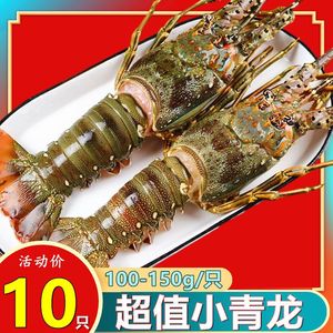 【小青龙虾20只】大龙虾花龙波龙鲜活冷冻品50-500g淡水小青龙
