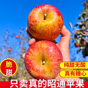 云南昭通丑苹果新鲜水果冰糖心苹果脆甜大果10斤整箱礼盒顺丰包邮