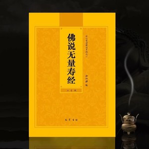 佛说无量寿经注音版简体诵读本大字拼音本曹魏康僧铠无量寿经AL