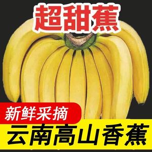 云南高山甜香蕉10斤当季新鲜水果大芭蕉小米蕉甜蕉皇帝蕉整箱包邮