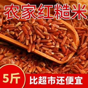新东北红米5斤黑龙江农家自产红糙米红梗米血稻米五谷杂粮吃的1斤