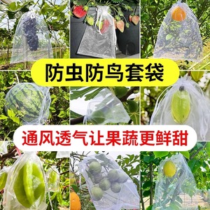 水果套袋防鸟袋通用袋无花果葡萄桃子草莓防虫袋瓜果防虫专用袋子