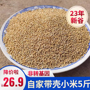 23年农家自产5斤带壳小米新米黄谷子农产品晋谷21号带壳山西小米