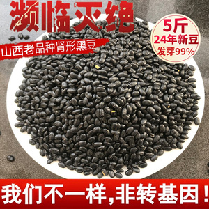 非转基因黑豆5斤 农家新黑豆老品种打豆浆肾形黄芯黑豆发豆芽黑豆