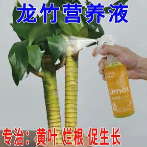 龙竹营养液肥料盆景专治黄叶育苗水培植物花肥水养生根液懒人专用