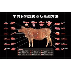 猪肉牛肉分割部位图及烹调方法牛肉分割图牛肉分割图贴纸海报挂图