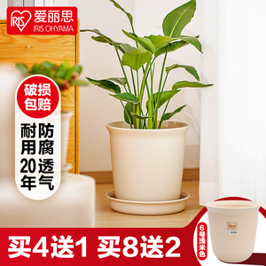 爱丽思 日本ZEN型阳台盆景圆形塑料花盆 室内创意个性盆栽小花盆