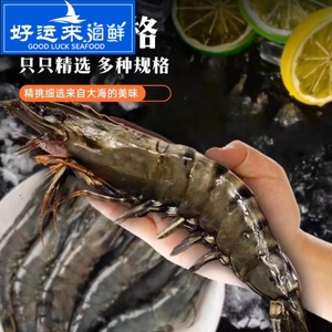 15只 12只 10只900g 黑虎虾新鲜大草虾 鲜活冷冻水产九节虾斑节虾