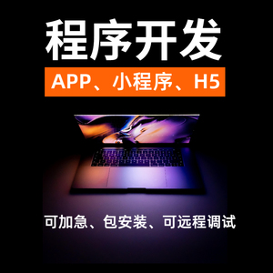 web前端开发程序代编小程序开发定制vue代做java后端代写问题解决