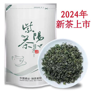 2024年新茶紫阳茶紫阳毛尖富硒产区绿茶高山绿茶陕西安康炒青