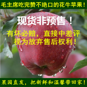 5斤新鲜花牛苹果水果平安果宝宝刮泥吃粉面应季天水红元帅蛇苹果
