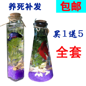 包邮不换水生态鱼瓶水族宠物斗鱼活体diy办公桌水草微景观玻璃缸 阿里巴巴找货神器 包邮不换水生态鱼瓶水族宠物斗鱼活体diy办公桌水草微景观玻璃缸 阿里巴巴找货神器