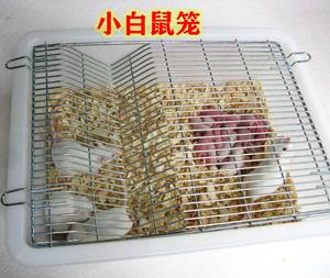实验小白鼠大白鼠花枝鼠饲养笼繁殖笼盒繁殖组笼镀锌笼繁育笼开票