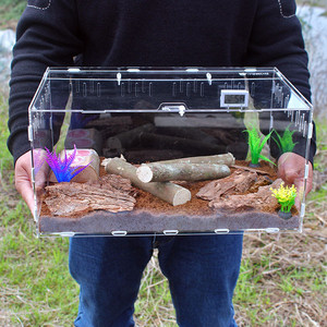 蜗牛生态缸甲虫饲养盒套餐螳螂蜘蛛的昆虫亚克力透明盒子爬宠箱子
