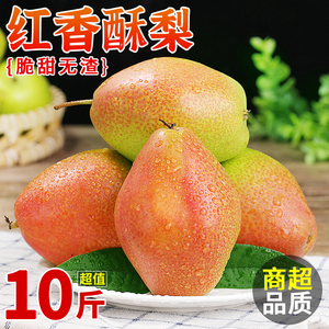 陕西红香酥梨10斤新鲜水果正宗脆甜梨子应当季现摘酥梨整箱包邮