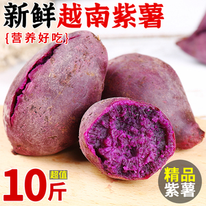新鲜越南紫薯10斤珍珠板栗紫薯粉糯甜紫农家自种现挖时令特级番薯