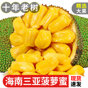海南黄肉菠萝蜜40斤整个应当季新鲜水果特产精选木波罗蜜一整个红