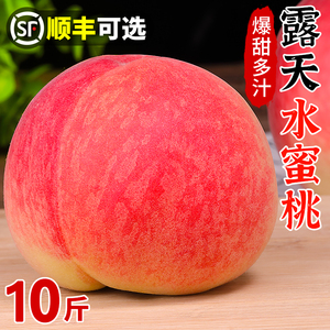 新鲜露天水蜜桃10斤桃子当季现摘水果冬桃软毛桃子脆甜水密桃包邮