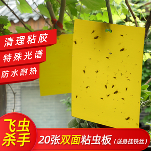 粘虫板黄色家用小飞虫灭杀果蝇针蜂粘板蓟马大棚果园粘虫诱虫板