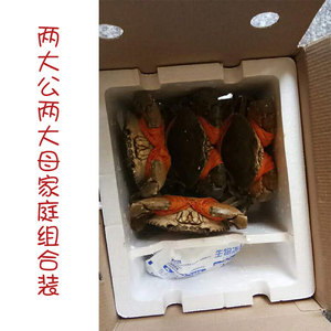 正宗三门青蟹 海捕海蟹 海鲜螃蟹礼盒 鲜活水产 两公两母包肥包邮