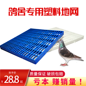 鸽子用品用具大全赛鸽舍鸽笼鸽用专用地板网格网塑料地网鸽具笼面