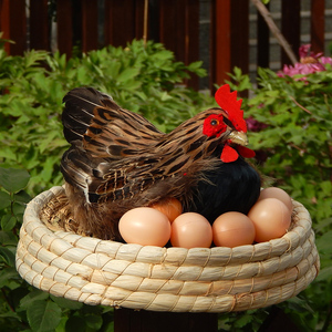 仿真母鸡模型摆件下蛋老母鸡玩具动物标本超市美陈装饰道具鸡玩偶