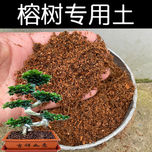 榕树专用土营养土榕树土有机酸性土壤家用盆栽植物种植土红土花肥