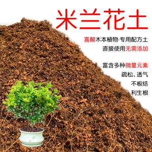 米兰花土专用土酸性营养土家用盆栽种植土壤米仔兰土红土透气肥料
