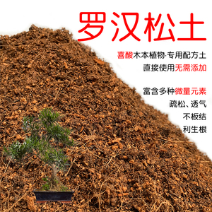 罗汉松土专用土酸性营养土家庭盆栽小叶罗汉松米叶金钱松花泥肥料