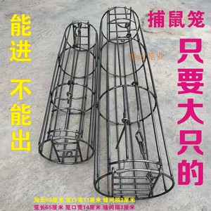 老鼠笼子地鼠笼野鼠笼捕鼠笼耗子笼自动捕鼠笼双门圆形铁鼠笼子
