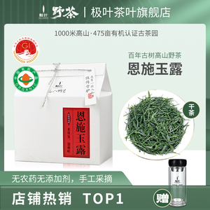 2024明前新茶恩施玉露有机绿茶叶高山云雾野放古树茶蒸青毛尖250g