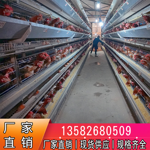优质蛋鸡笼养殖场专用笼鸡笼子阶梯式蛋鸡笼养鸡设备养殖鸡笼全套