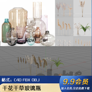 FBX干花干草玻璃花瓶室内艺术装饰摆件C4D模型OBJ设计3d素材