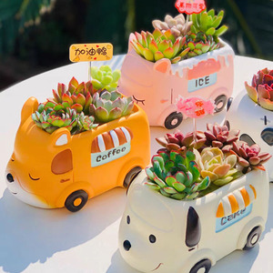 多肉花盆新款创意可爱卡通小动物汽车造型小狗熊猫儿童幼儿园盆栽
