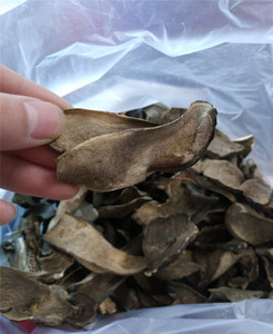 新疆特产阿勒泰185喀纳斯野生黑蘑菇干牛肝菌干500g包邮