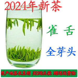 2024新茶金坛雀舌茶叶 特级浓香型绿茶 250g散装罐装嫩芽毛尖春茶