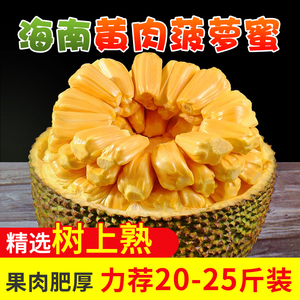 海南黄肉菠萝蜜新鲜水果三亚当季老树现摘特产10-35斤一整个包邮