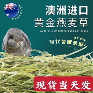 澳麦澳洲进口黄金燕麦草精选代替提摩西兔兔干草牧草高纤维500g