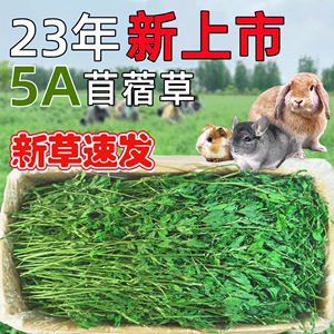 23年紫花苜蓿草干草毛重1kg兔子豚鼠荷兰猪龙猫饲料幼兔粮草苜宿