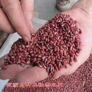 新货五谷杂粮神农架深山赤小豆小红豆250g农家养生红豆长粒小赤豆