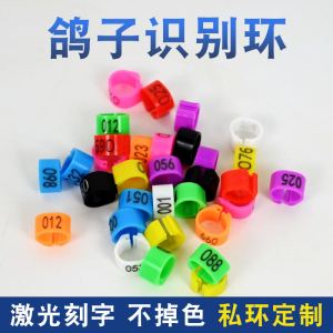 鸽子脚环信鸽用品肉鸽记号环数字塑料识别环鸽子足环定做刻字脚环