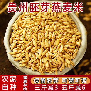 燕麦胚芽米全胚芽燕麦米新米院农科生裸燕麦仁米糙米五谷杂粮500g