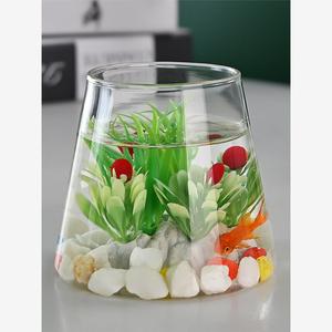 透明玻璃水培花盆水培植物玻璃瓶微景观生态瓶鱼缸器皿摆件斗鱼瓶