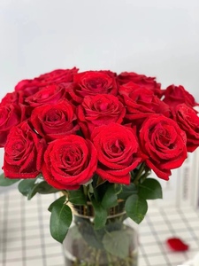 【全店两件空运】正宗高级红玫瑰卡罗拉高原红珍爱戴安娜影星鲜花