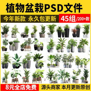 室内盆栽绿植花盆植物组合ps素材 现代简约客厅摆件免抠psd免抠图