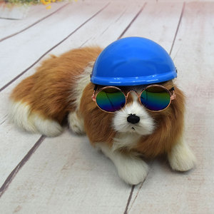 新款可爱宠物帽子机车头盔安全帽狗狗猫咪帽子搞怪拉风扮酷