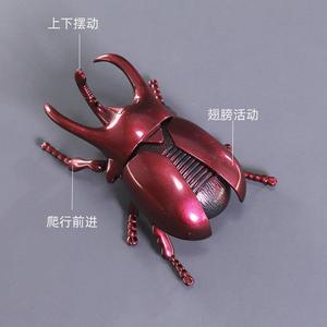 网红发条甲虫玩具儿童仿真昆虫上链条爬行甲壳虫礼物宝宝益智玩具
