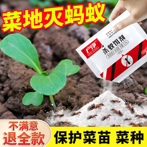 户外室外花盆土壤灭蚂蚁药全窝非无毒端非特效杀蚂蚁的药农用菜地