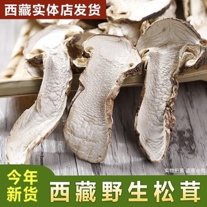 正宗西藏野生松茸干货野生菌菇新鲜松茸干片非姬松茸滋补特级100g
